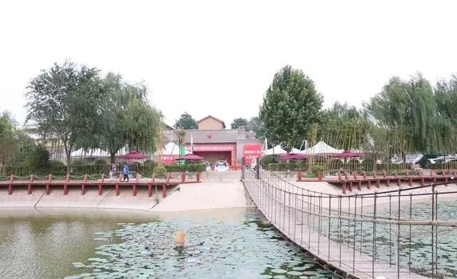 一寺一校一画院——石桥中学新生记！