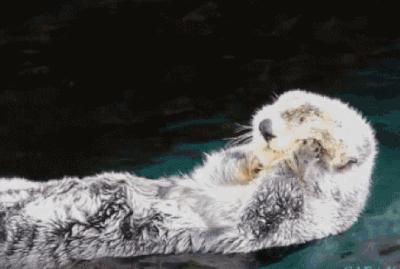 防晒霜防晒伤不防晒黑,防晒黑防晒