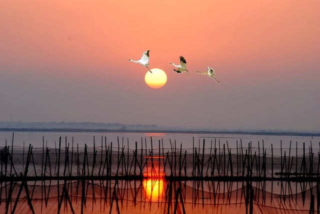 八大山人纪念馆南昌景点必到5处,南昌自驾游必去十大景点