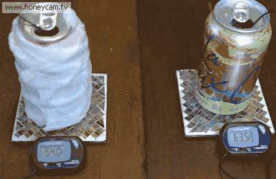 鞋子臭要用什么洗才不臭,鞋子有异味怎么办洗都洗不掉