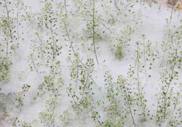 我姓杨，我向全邹城人民道歉！！但我有苦衷……