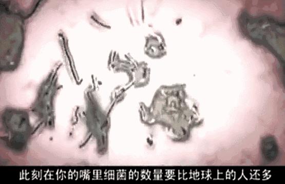 小编推荐丨缓解咳嗽、口臭,试试这个“千金方”!澳洲纯植物提取