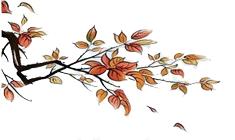 娓呴鏂囧鎶曠,娓呴寰佹枃寰佺