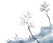 娓呴鏂囧鎶曠,娓呴寰佹枃寰佺