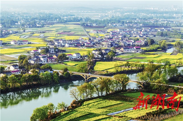 长沙聚焦乡村振兴实践活动,长沙聚焦乡村振兴方案最新