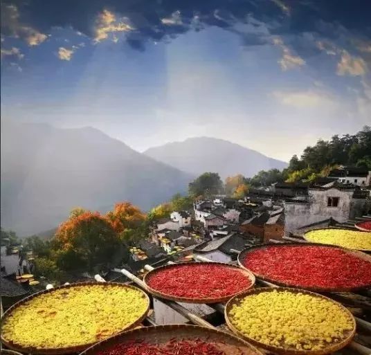 重阳节除了登高敬老还有什么习俗,重阳节适合哪里登高