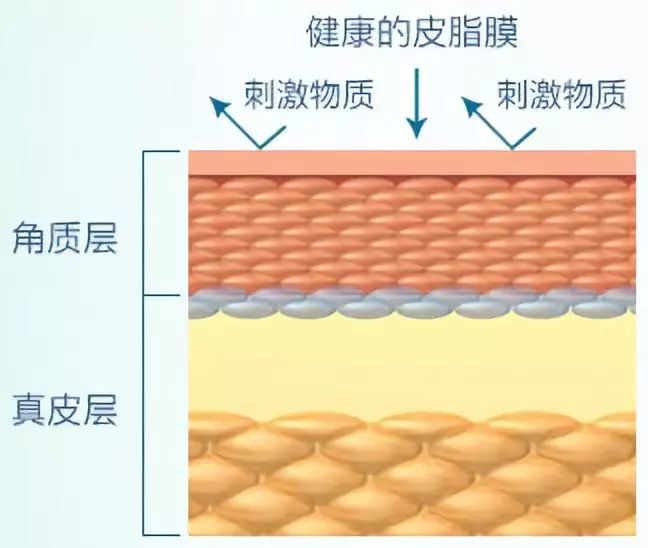 还在用洗面奶洗脸卸妆就out了！用它轻轻一刷，几秒就能深层清洁每个毛孔，感觉黑头都蹦出来了！