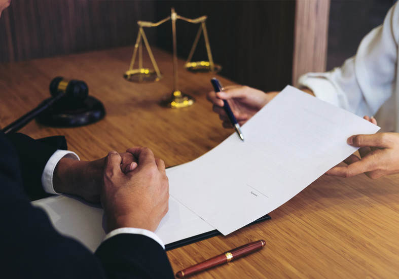 锦鲤跟风,锦鲤为什么越来越红了