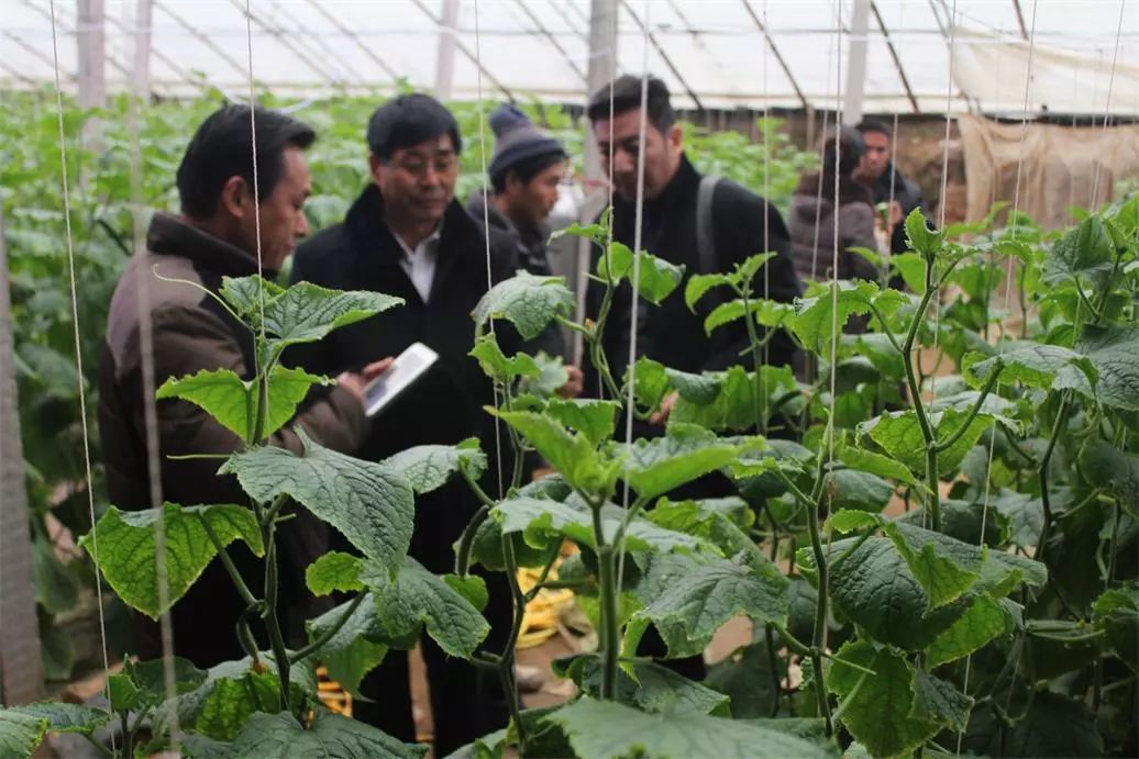 病毒感染发热出汗是好事还是坏事,晚上发热出汗是病毒感染的嘛