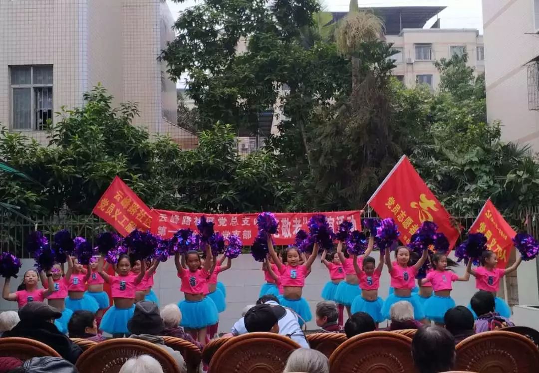 第一实验小学党支部主题党日活动,绿地小学党支部开展主题党日活动