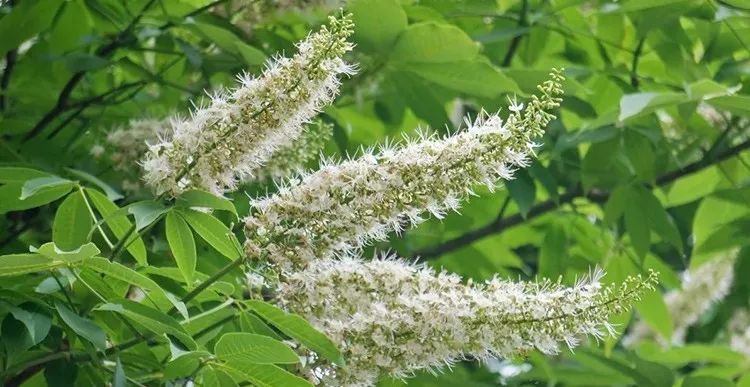 45岁没皱纹看起来像25岁,是如何做到的?