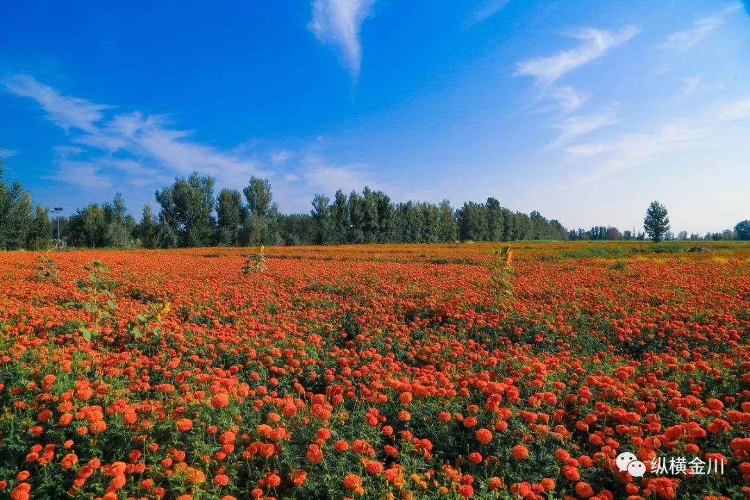 金昌游玩娱乐,金昌旅游冬季