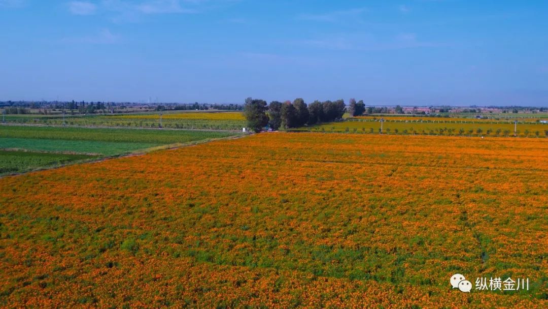 金昌游玩娱乐,金昌旅游冬季