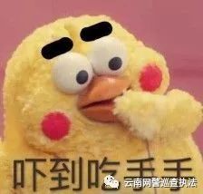 「微提示」“锦鲤”热背后，小心踩到这些*局骗**