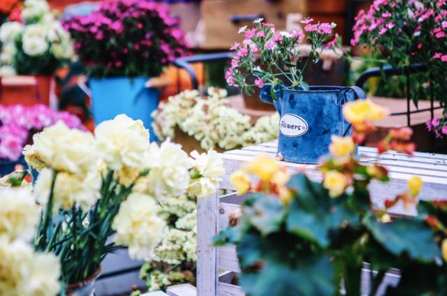 活动|双11除了买买买,还要去涠洲岛赶赴一场如约的民俗盛会哦!