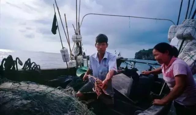 活动|双11除了买买买,还要去涠洲岛赶赴一场如约的民俗盛会哦!