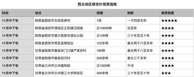 深秋赏银杏图片,金秋银杏观赏