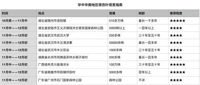深秋赏银杏图片,金秋银杏观赏
