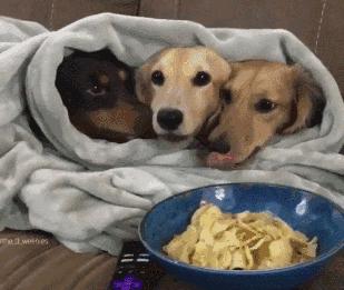 时区小厨房｜身在海外如何创造条件解决人生大事？