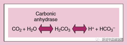 如何做好血气分析结果判读？教程来了……