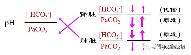 如何做好血气分析结果判读？教程来了……