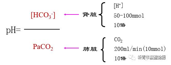 如何做好血气分析结果判读？教程来了……