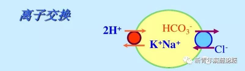 如何做好血气分析结果判读？教程来了……