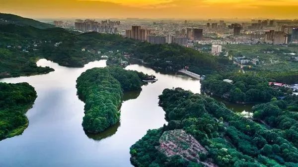 龙泉经济为什么在四川排名第一,龙泉驿未来发展优势