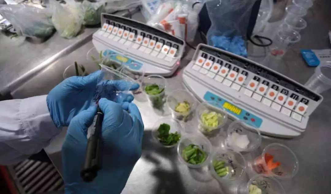 食事药闻最新消息,国家食药监总局通报4批次食品