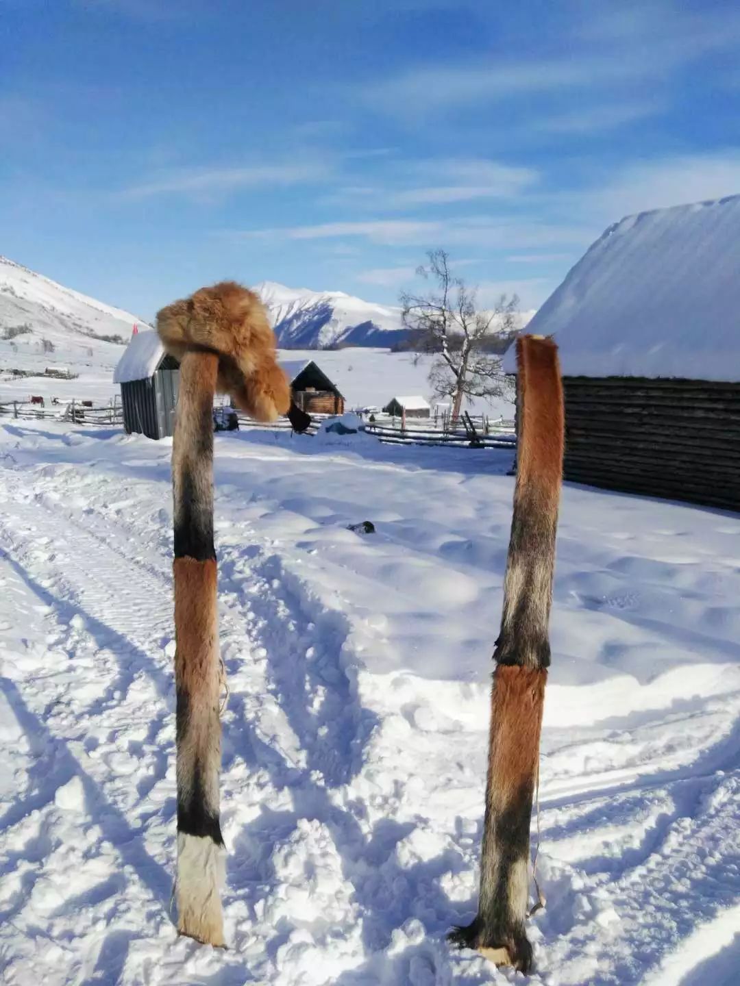 资讯|早春出游天津航空疆内航线100元起特价优惠