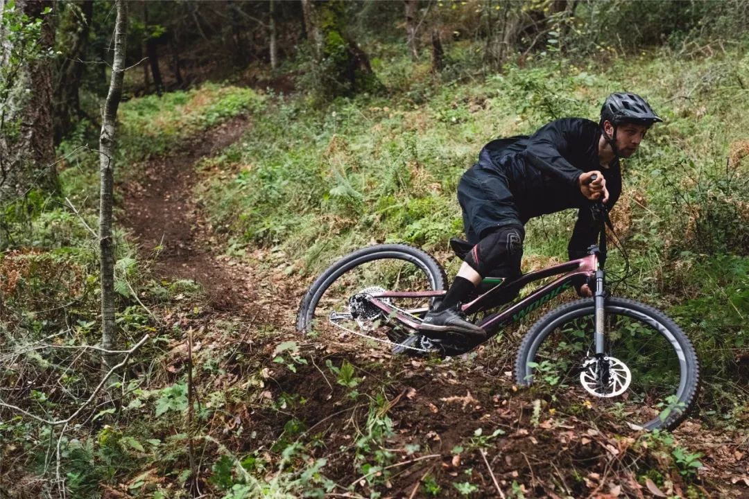 24款山地车推荐性价比之王,2024款12速山地车推荐