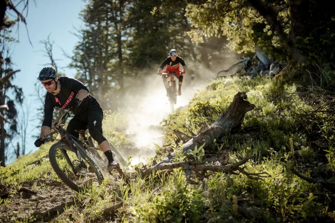 24款山地车推荐性价比之王,2024款12速山地车推荐