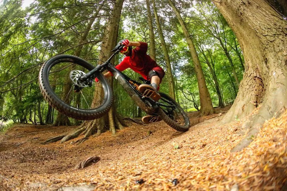 24款山地车推荐性价比之王,2024款12速山地车推荐