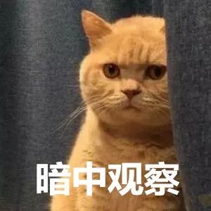 周末有雨新一轮冷空气来袭,即将迎接未来几天的冷空气