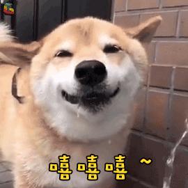 双十一购物清单排行榜,双十一购物清单攻略一览表