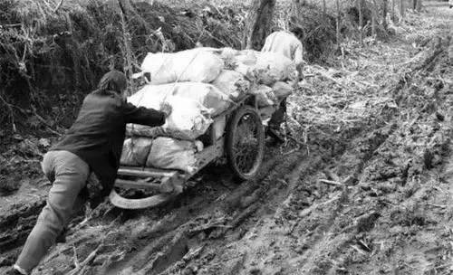 80年代交公粮真实情景视频,回忆三十多年前交公粮的情景