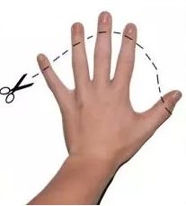 猫肉垫怎么护理,猫肉垫经常出现什么问题