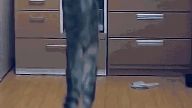 猫肉垫怎么护理,猫肉垫经常出现什么问题