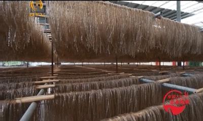 大足魅力中国城,魅力中国城有何用