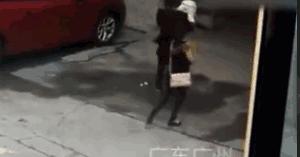 天降大狗案旷日持久谁来担责？