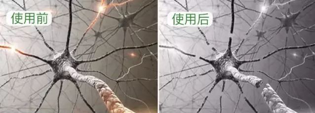 法国Lérane草本净螨贴，萃取天然植物，除螨更安心