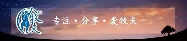 科幻迷必玩的游戏大作,科幻迷必看