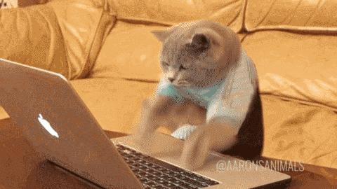 大乐透足彩胜负平在哪买,体彩大乐透能在线买吗