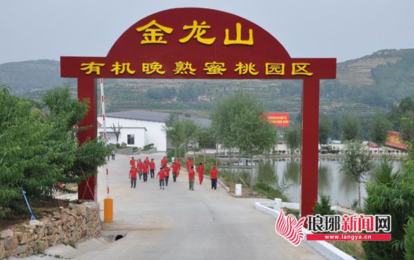 临沂全面乡村振兴注入强劲动力,临沂市高新区乡村振兴示范