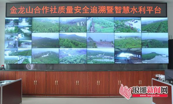 临沂全面乡村振兴注入强劲动力,临沂市高新区乡村振兴示范