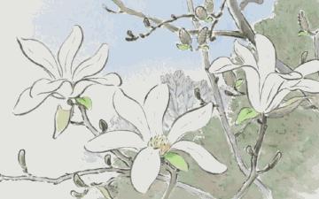 1-6年级必背古诗完整版可以打印,1-6年级必背古诗75首人教版