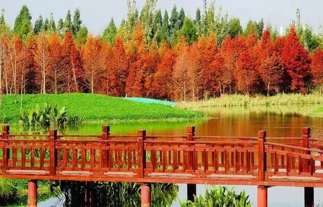 昆明主城中央公园及cbd核心区规划,昆明世博园片区最新规划