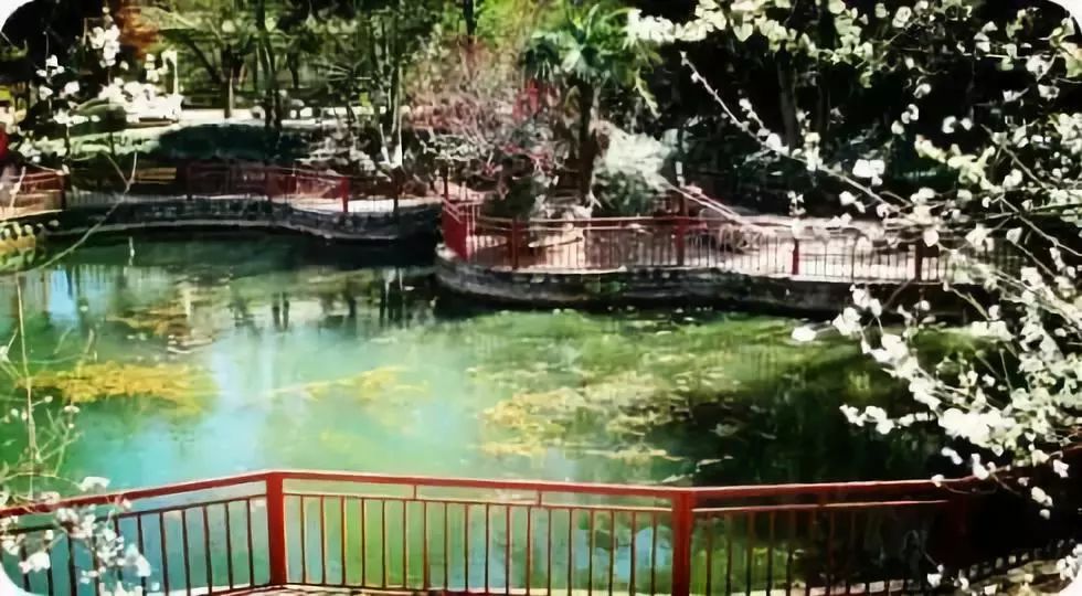 昆明主城中央公园及cbd核心区规划,昆明世博园片区最新规划