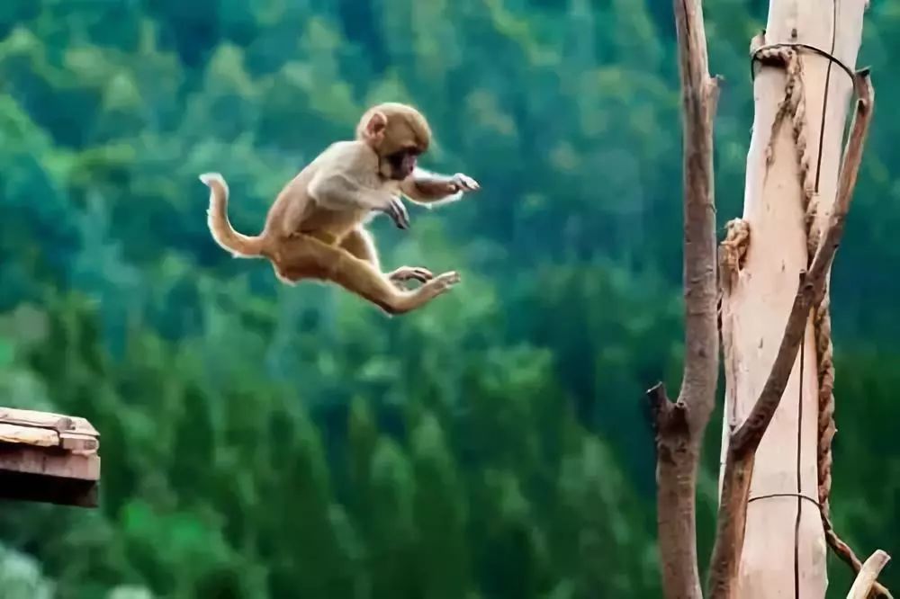 昆明主城中央公园及cbd核心区规划,昆明世博园片区最新规划