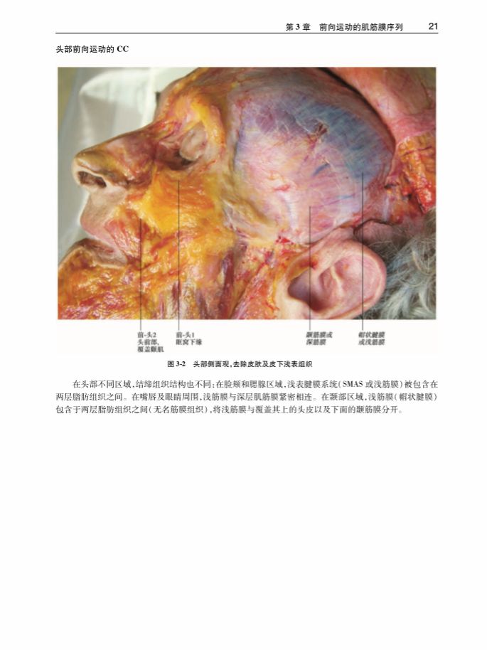 绛嬭啘鎵嬫硶瀹炵敤鎸囧崡txt,绛嬭啘鎵嬫硶瀹炶返鎿嶄綔pdf